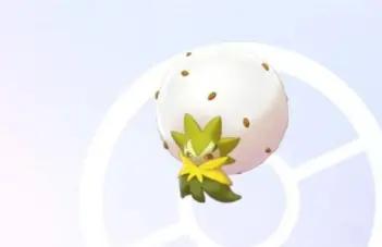 宝可梦冷门宠专精等级介绍